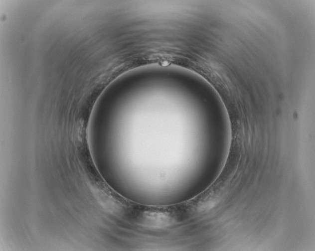 X0000088360649200705221032