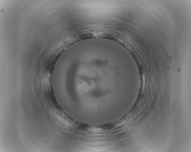 X0000088360650200705221032