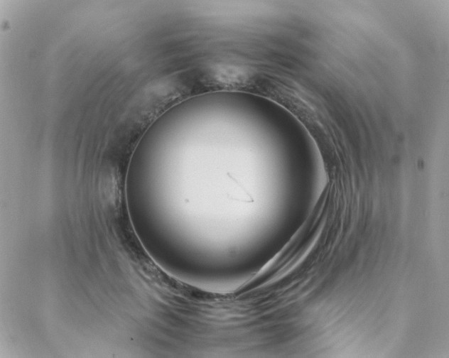 X0000088360651200705221032