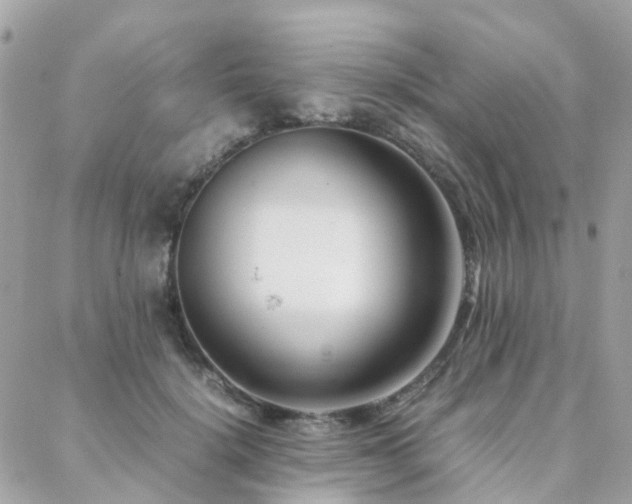 X0000088360652200705221032