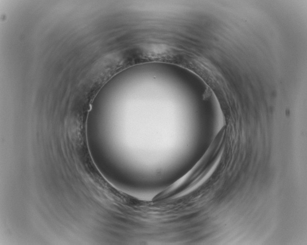 X0000088360653200705221032