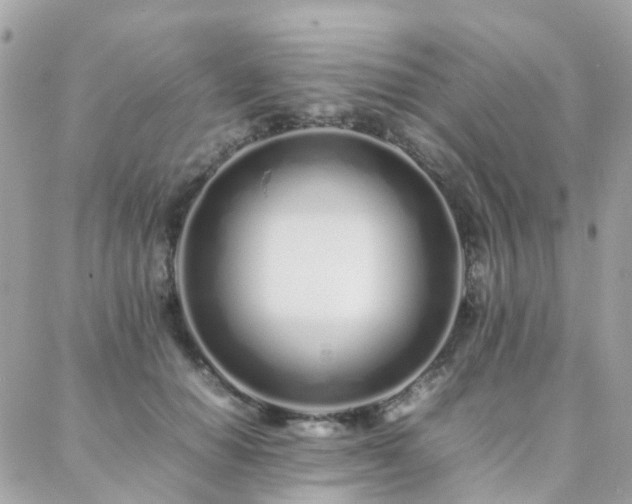 X0000088360654200705221032