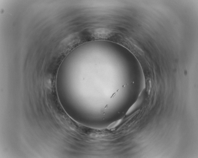 X0000088360655200705221032