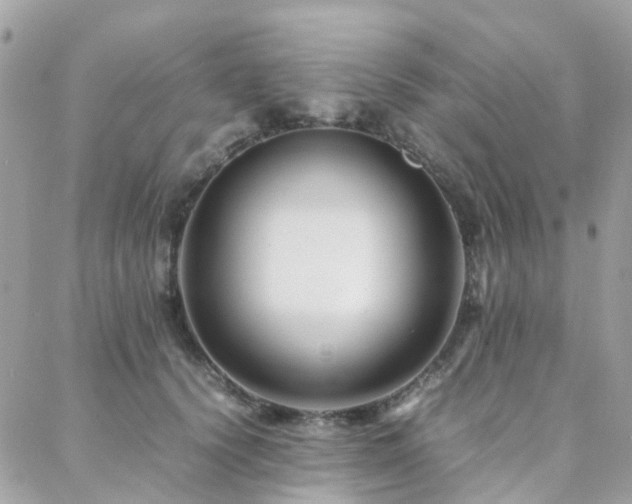 X0000088360656200705221032