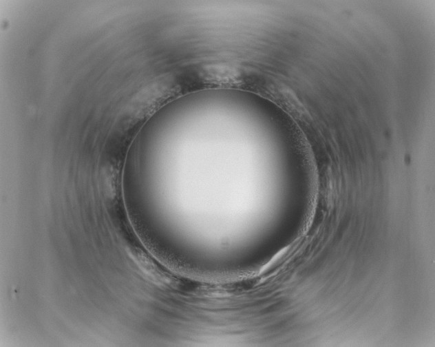 X0000088360658200705221032