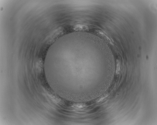 X0000088360659200705221032