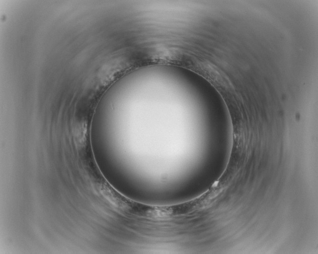 X0000088360660200705221032