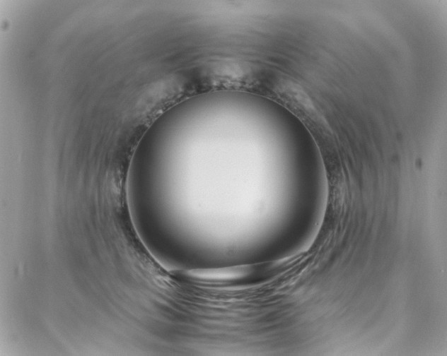 X0000088360661200705221032