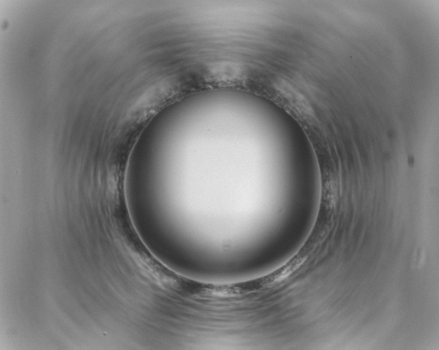 X0000088360662200705221032