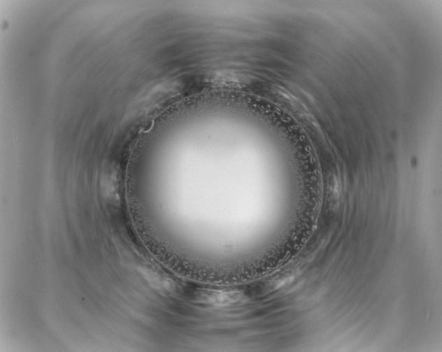 X0000088360663200705221032