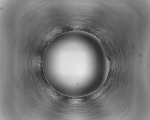 X0000088360664200705221032