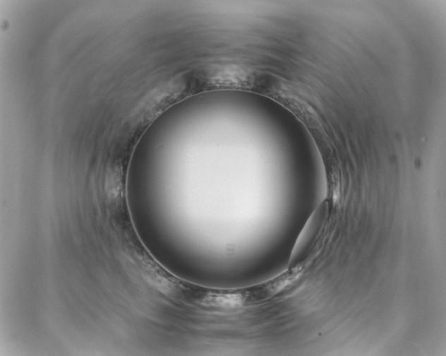 X0000088360665200705221032