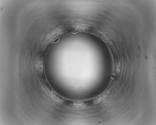 X0000088360666200705221032