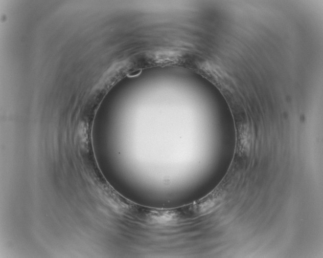 X0000088360667200705221032