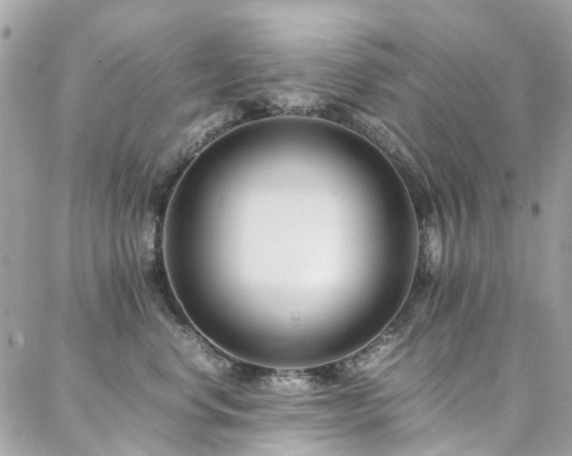 X0000088360668200705221032