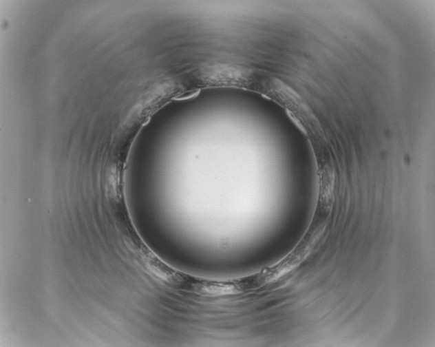 X0000088360669200705221032