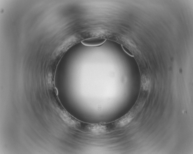 X0000088360670200705221032