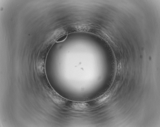 X0000088360671200705221032