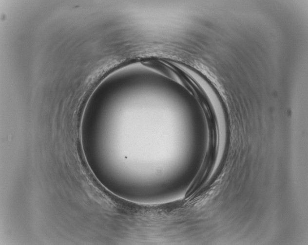 X0000088360673200705221032