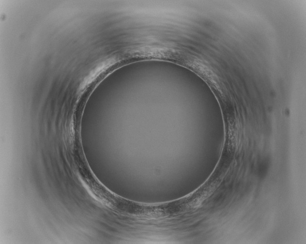 X0000088360674200705221032