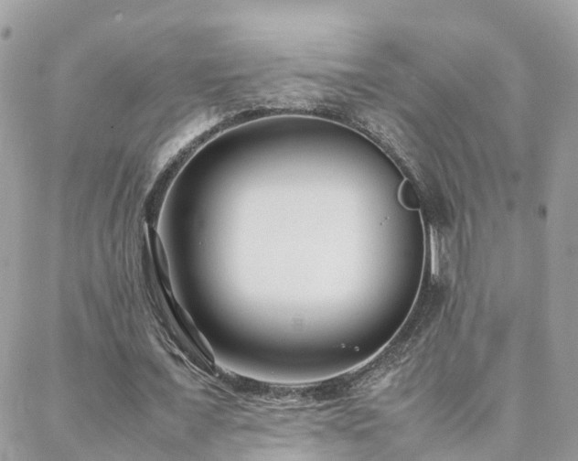 X0000088360675200705221032