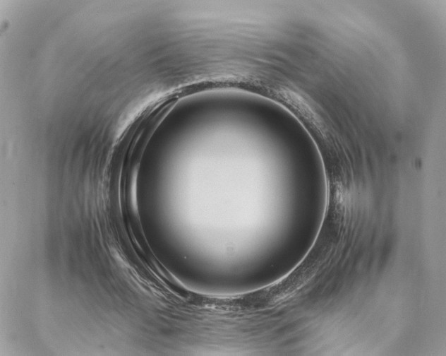 X0000088360676200705221032