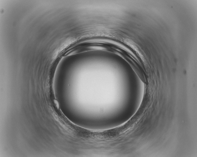 X0000088360677200705221032