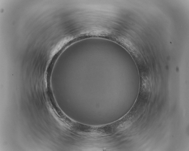 X0000088360678200705221032