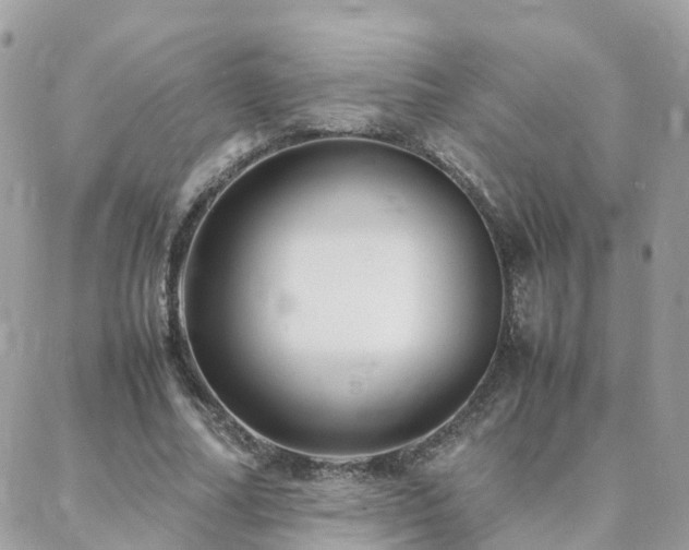 X0000088360682200705221031