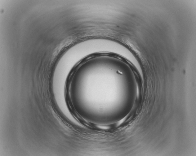 X0000088360685200705221031