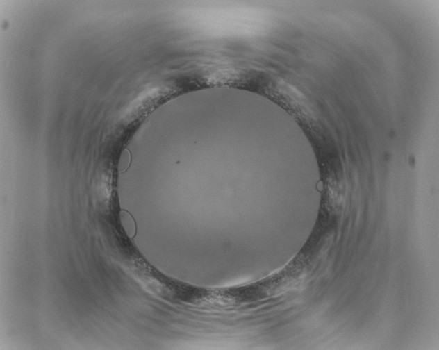 X0000088360691200705221031