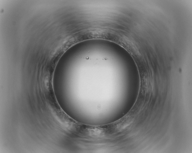 X0000088360698200705221031