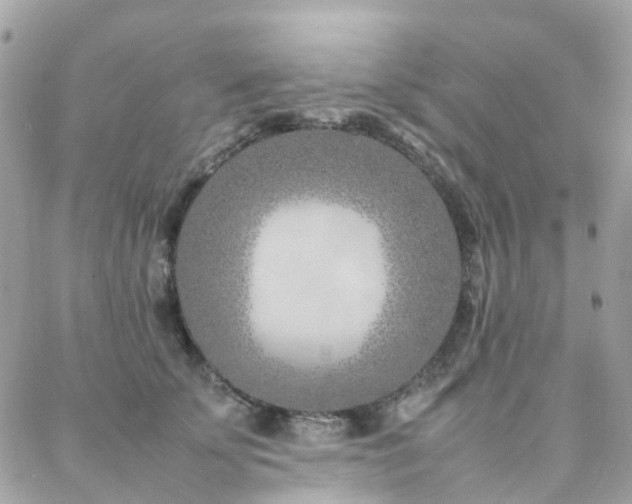 X0000088360707200705221031