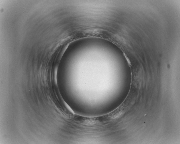 X0000088360708200705221031