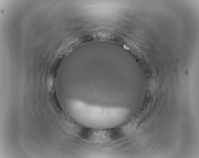 X0000088360709200705221031