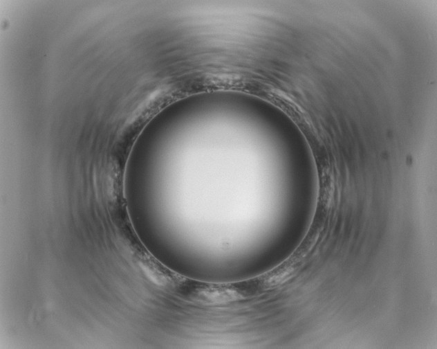 X0000088360712200705221031