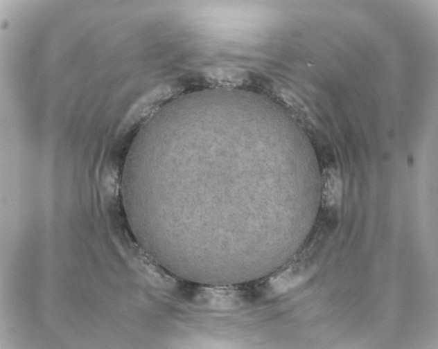 X0000088360713200705221031