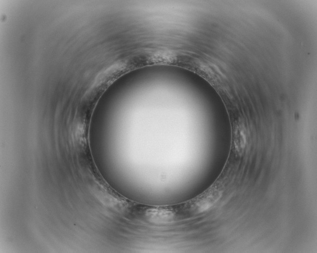 X0000088360714200705221031