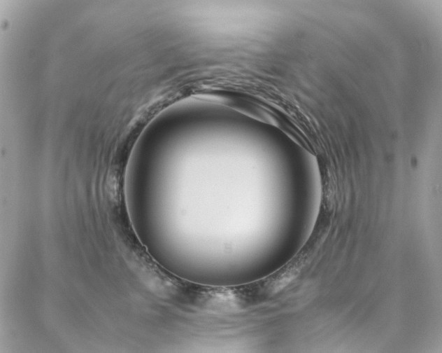 X0000088360715200705221031