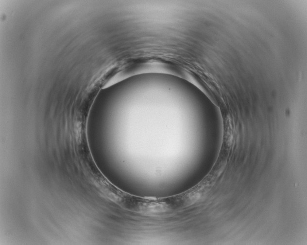 X0000088360716200705221031
