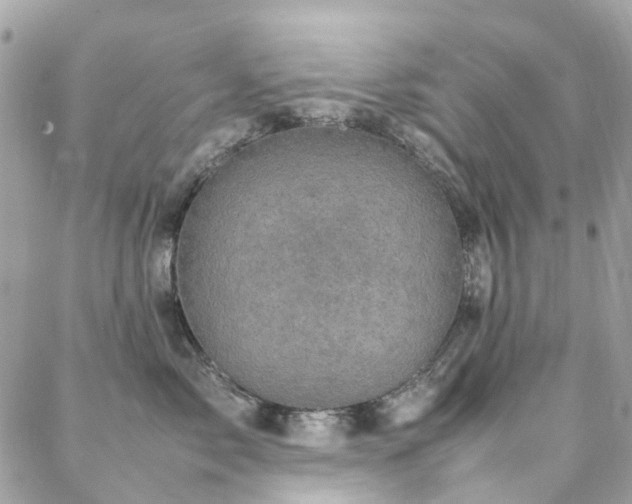 X0000088360717200705221031