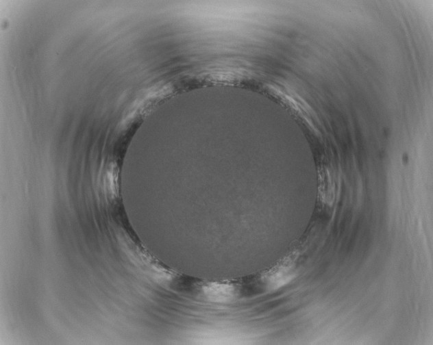 X0000088360718200705221031