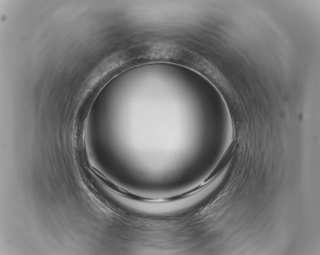 X0000088360722200705221030