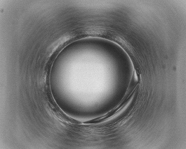 X0000088360723200705221030