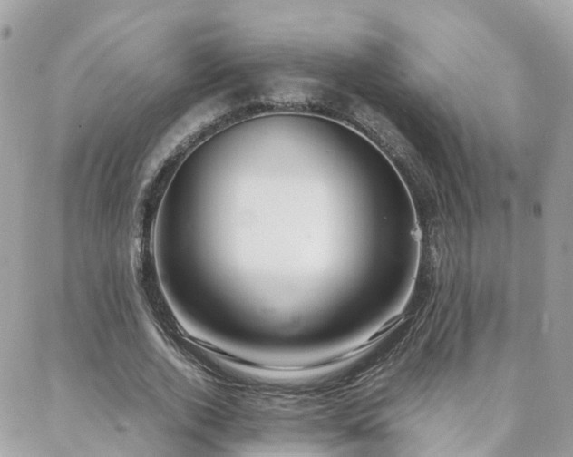 X0000088360728200705221030