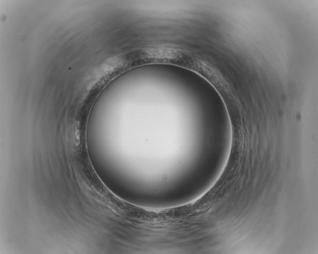 X0000088360731200705221030