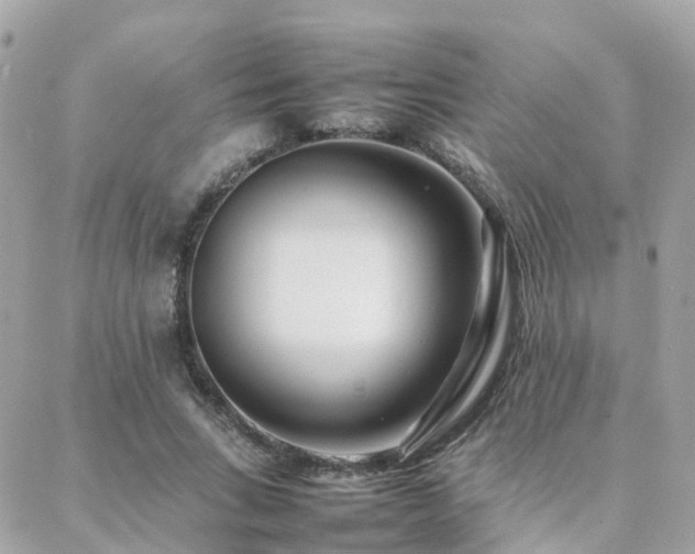 X0000088360735200705221030