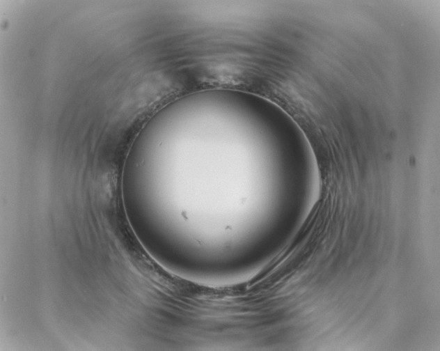 X0000088360747200705221030