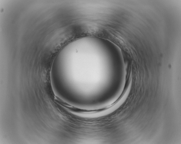 X0000088360750200705221031