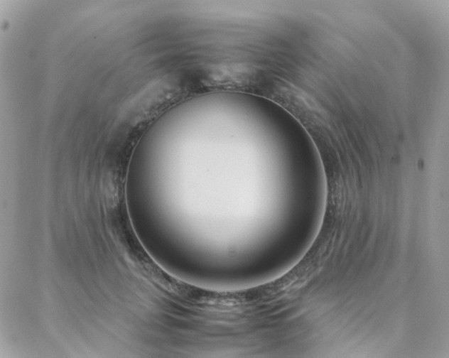 X0000088360751200705221031